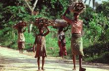 中非共和國[中非共和國]