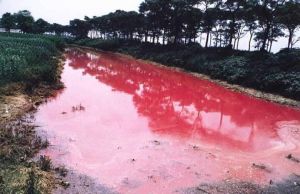 水體污染 水體污染