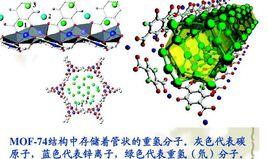 老年人多器官功能衰竭 老年人多器官功能衰竭