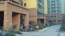 金裕花園 金裕花園