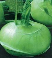 水果苤藍 水果苤藍