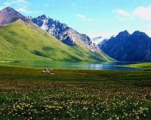 年保玉則 年保玉則