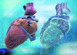 醫學信息工程 醫學信息工程