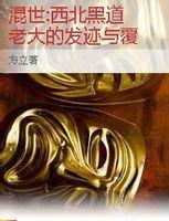 混世:西北黑道老大的發跡與復滅 混世:西北黑道老大的發跡與復滅