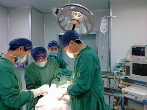 傅紅[福州大學生物科學與工程學院教授]