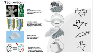 章魚清潔機器人