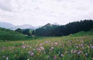 南山旅遊風景區[烏魯木齊縣南山旅遊風景區]