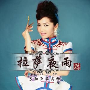 拉薩夜雨 拉薩夜雨