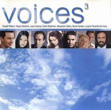 voices[環球從2002年開始發行的專輯]