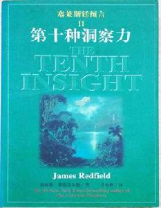 第十種洞察力 第十種洞察力