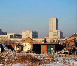 就地城市化 就地城市化