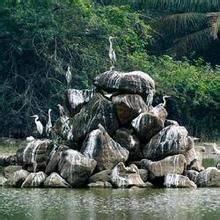 廣東洋浦港濕地 廣東洋浦港濕地