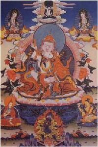 阿里不達 阿里不達