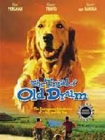 《The Trial of Old Drum》 《The Trial of Old Drum》