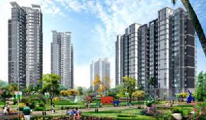 西城龍庭一期 西城龍庭一期