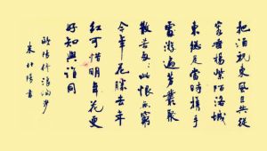 浪淘沙·把酒祝東風