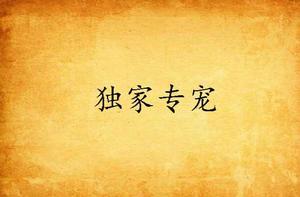 獨家專寵[網路小說]