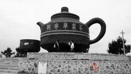 興寧單叢茶 興寧單叢茶