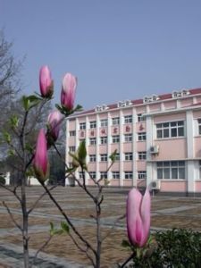 華中農業大學附屬國小 華中農業大學附屬國小