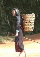 太陽照常升起[2007年姜文執導電影]