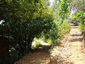 團團河村道路<a name="ref_[1]"></a>