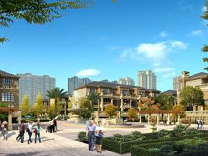 金域明珠 金域明珠