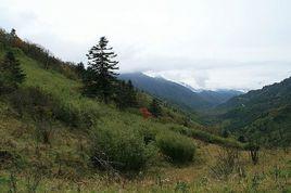 漢中古道 漢中古道