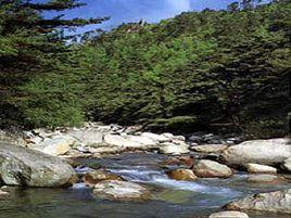 紅流洞溪谷 紅流洞溪谷