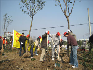 （圖）嘉興市青少年公園開展第二批“碳中和林”植樹活動