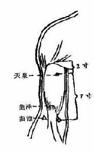 天泉穴 天泉穴