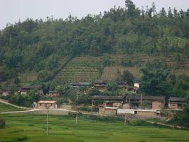 仁和鎮[浙江省杭州市仁和鎮]