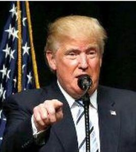 考迪羅制 考迪羅制