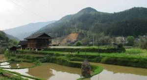 興華鄉[河南省洛寧縣興華鎮]