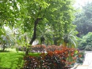 奧克伍德山水庭苑服務公寓 奧克伍德山水庭苑服務公寓