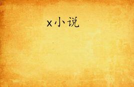 x小說