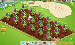 QQ農場 紫葫蘆控