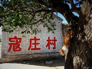 寇莊村[山西省朔城張蔡莊]