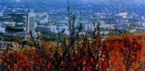 《人狼》 《人狼》