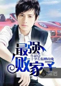 最強敗家子[黑岩網小說]