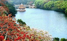 季家莊村 季家莊村