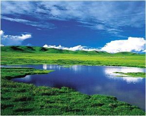 《草原之夜》 《草原之夜》