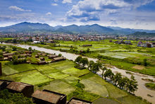 大瑤自然田園風光