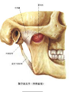 顳下頜關節炎 顳下頜關節炎