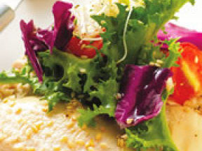 芝麻雞肉沙拉 芝麻雞肉沙拉