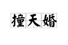 撞天婚[字詞]