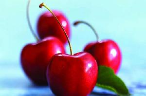 太空櫻桃 太空櫻桃