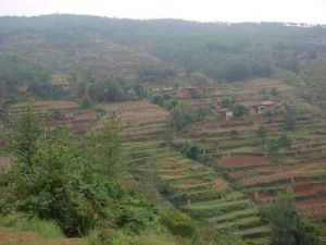 三一棧村 三一棧村