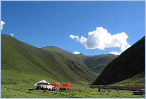 青海玉樹縣隆寶灘自然保護區