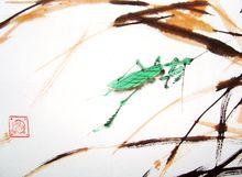 楊東風[自由作畫人]