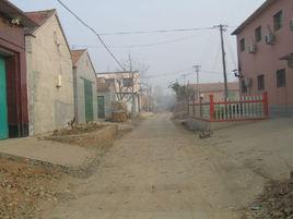 崔家窪村[河北省滄州市南皮縣馮家口鎮下轄村]